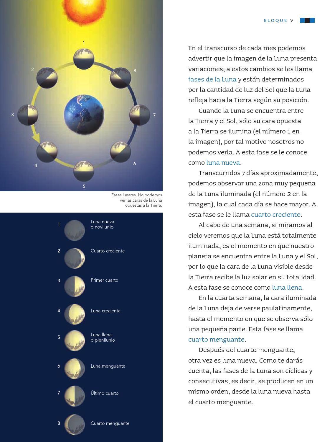 Ciencias Naturales 3er. Grado by Rarámuri - issuu Ciencias Naturales 3er. Grado by Rarámuri - issuu