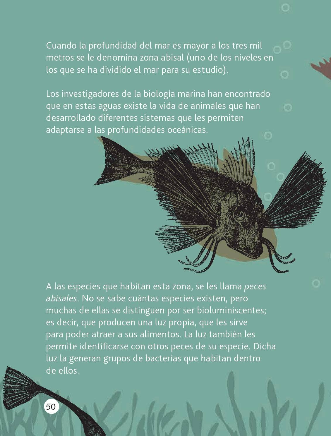 Español Lecturas 2o. Grado by Rarámuri - Issuu, image size:1131x1490