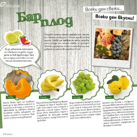PromoOferti.com 灯饰目录 · Lidl 第 6 页