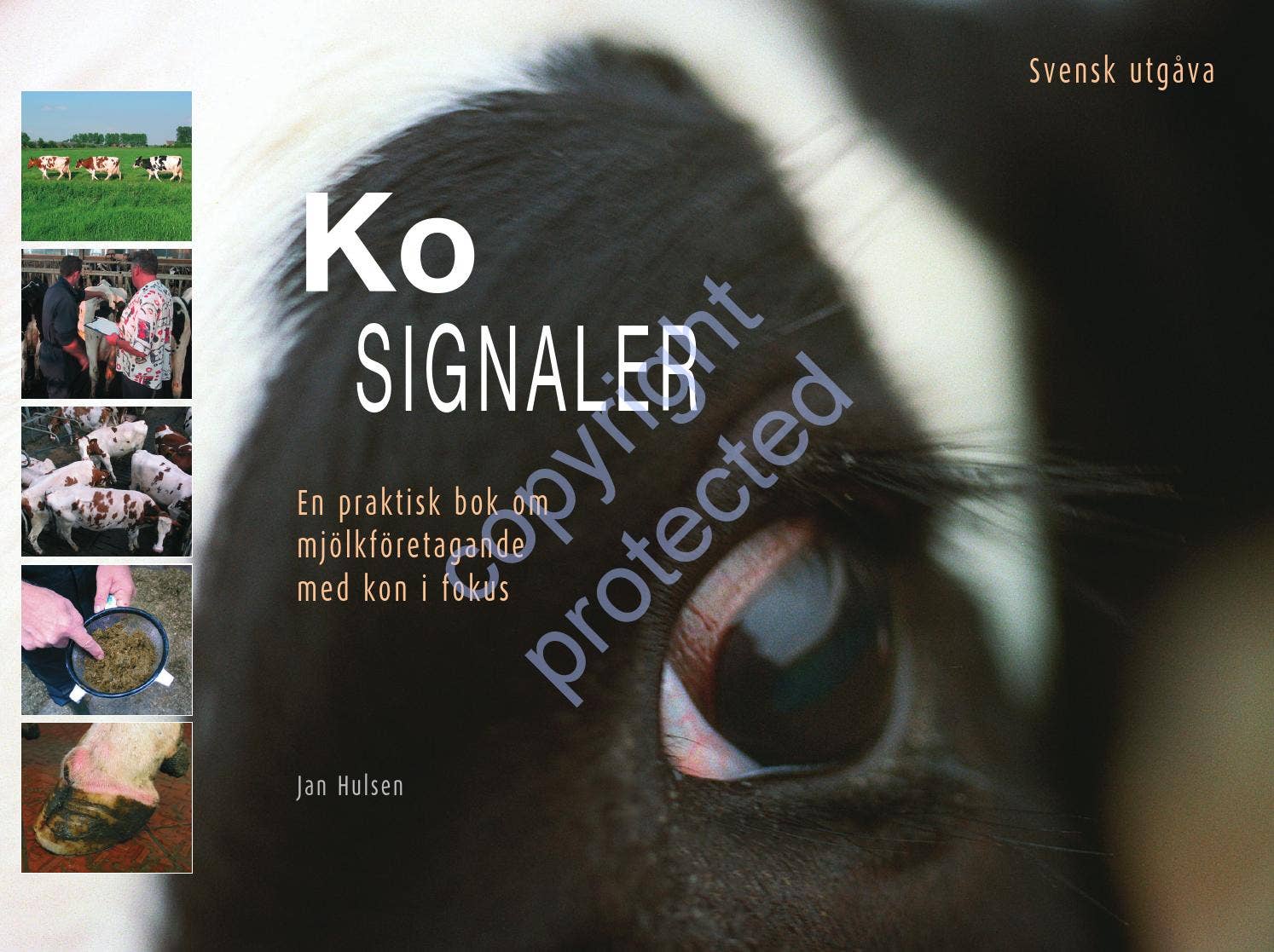 Cow signals - Swedish edition by Roodbont Publishers - Issuu