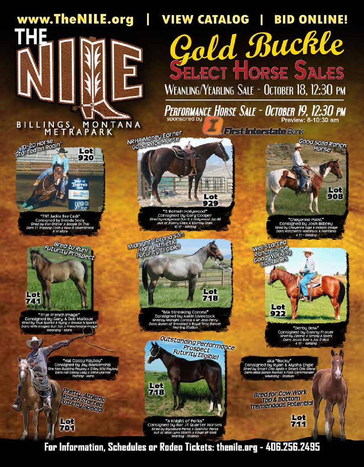NILE Gold Buckle Horse Sales by Cattle In Motion, LLC Issuu