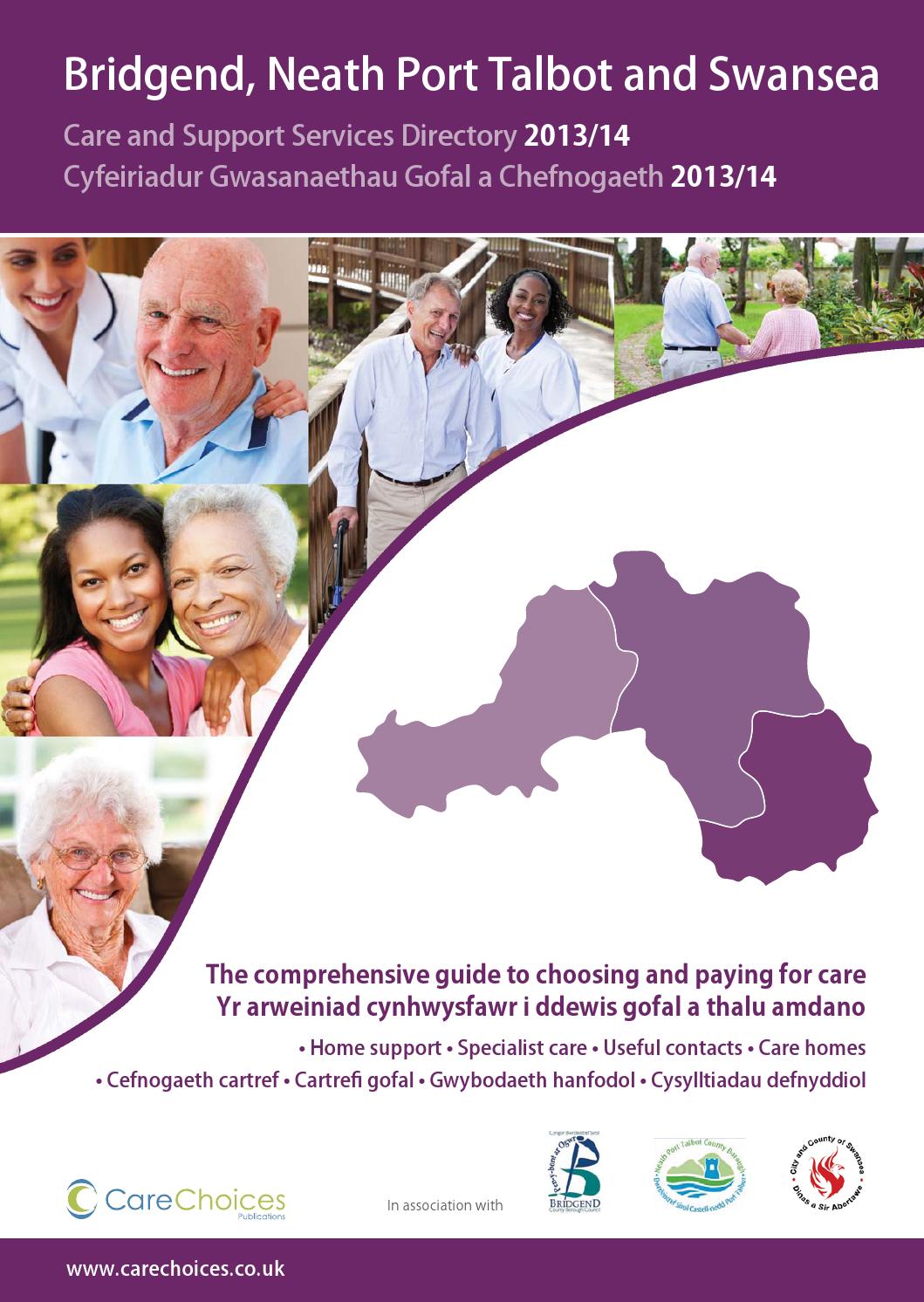 Bridgend Neath Port Talbot and Swansea Care and Support Services