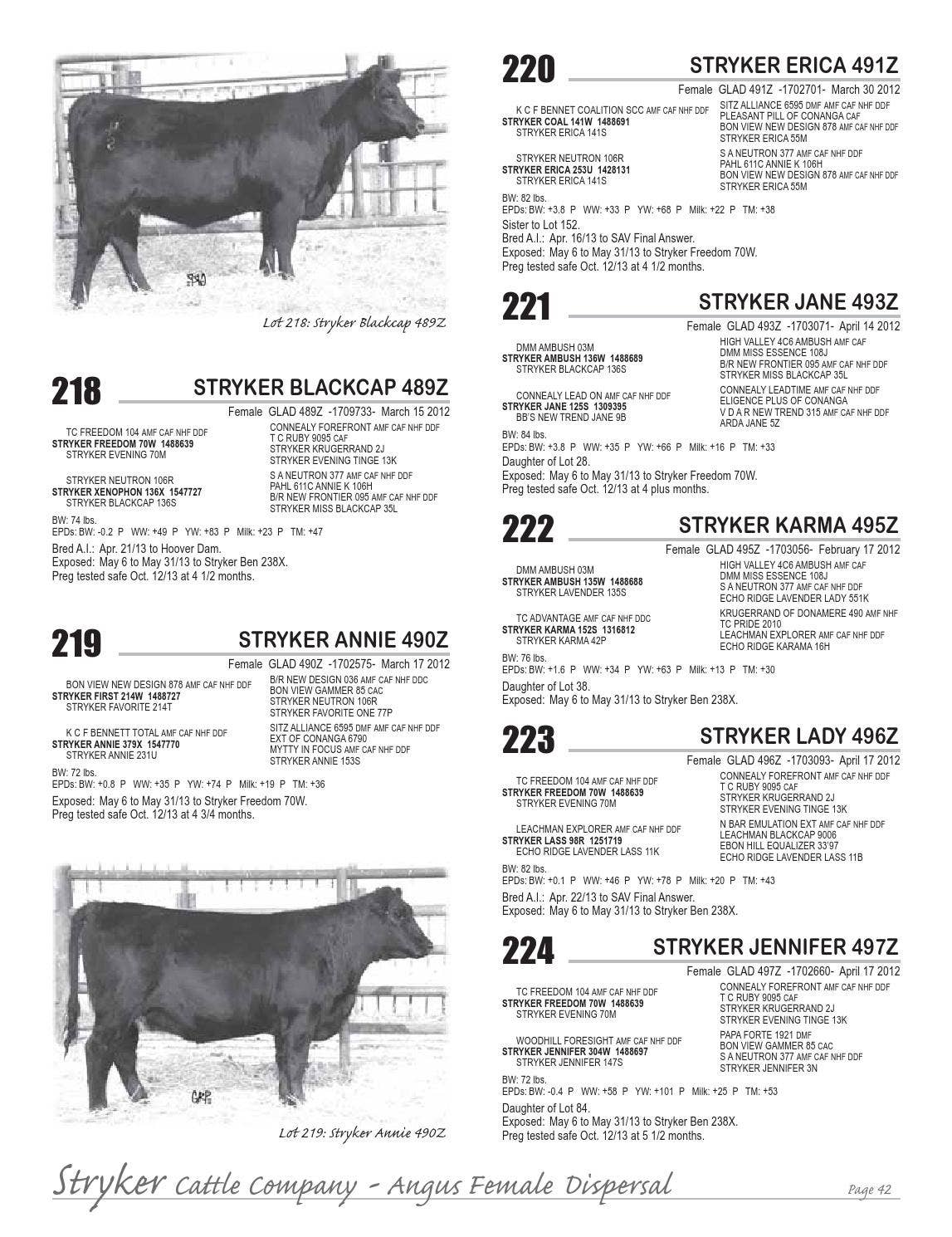Stryker Cattle Co. Purebred Angus Female Dispersal by Everything Angus