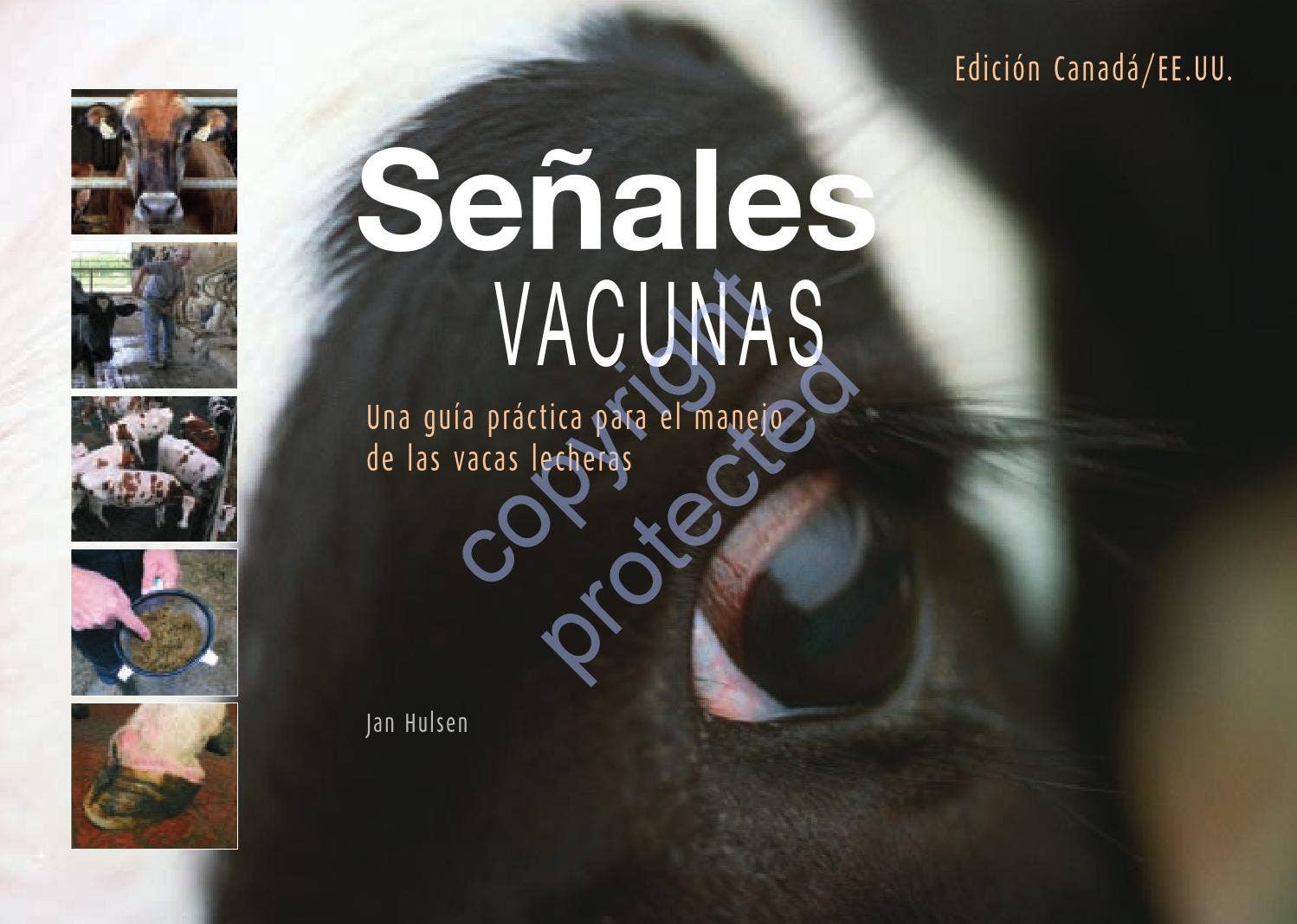 Cow signals - Spanish (Latin American) by Roodbont Publishers - Issuu