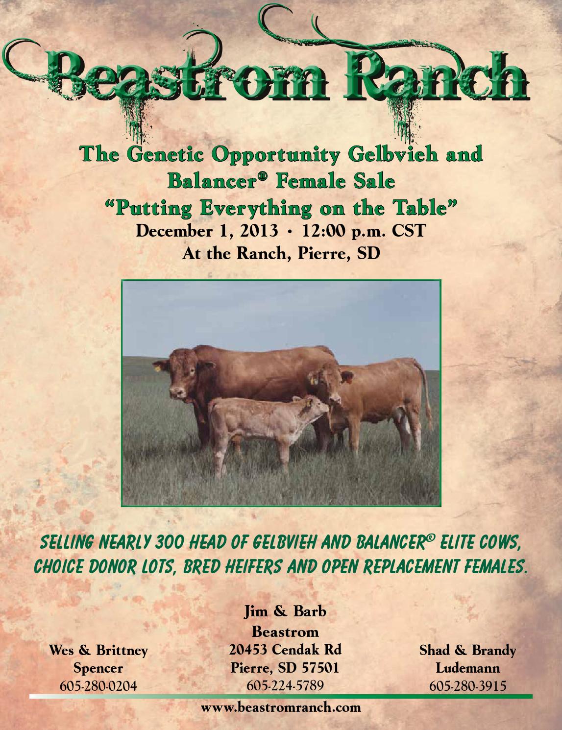 2013 Beastrom Ranch Catalog by American Gelbvieh Association Issuu