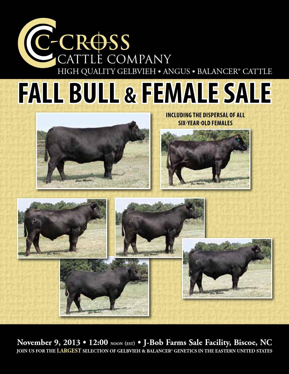 C-Cross Cattle Company Fall 2013 by American Gelbvieh Association - Issuu