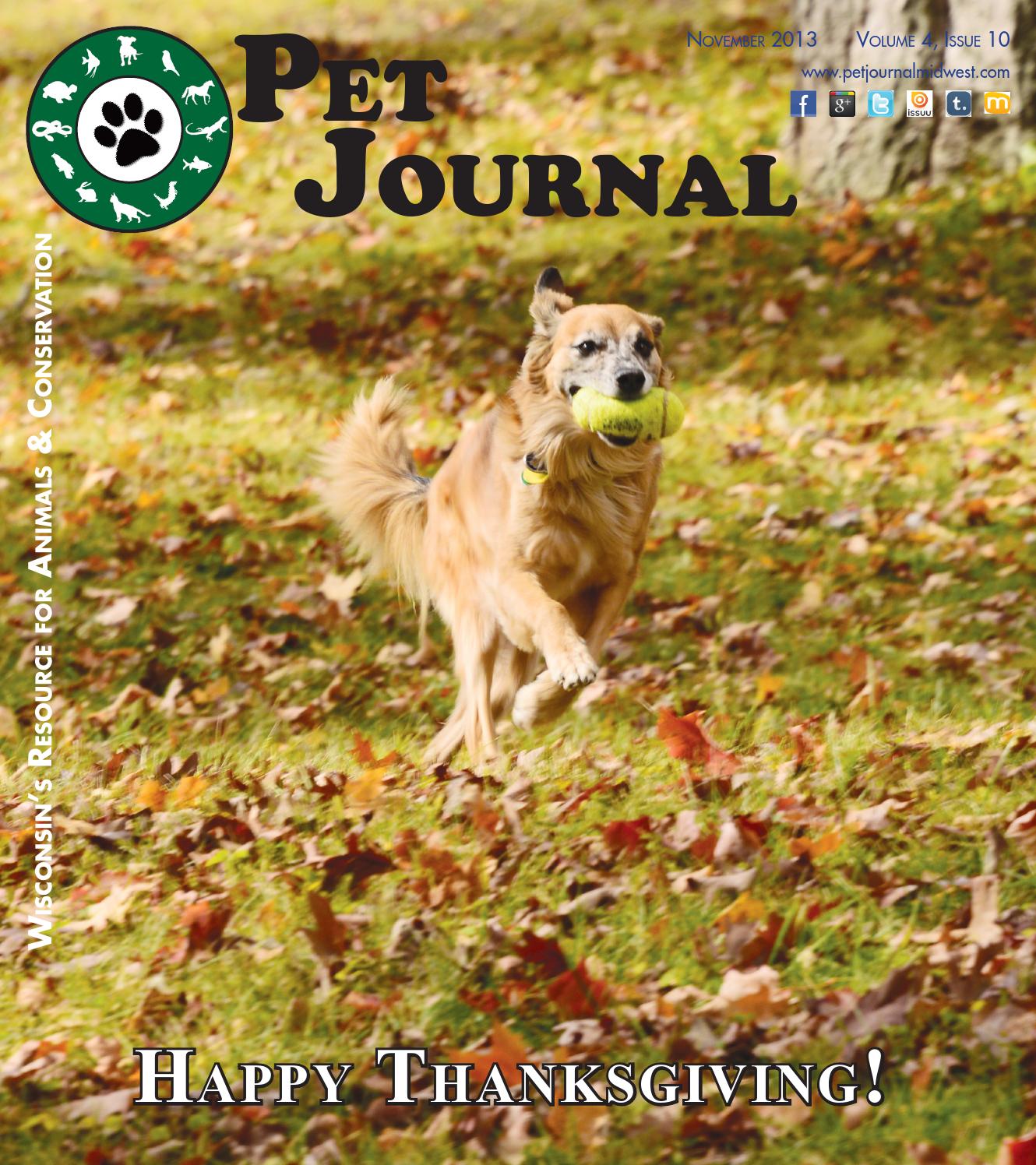 Pet Journal IV10 November 2013 by Pet Journal Issuu