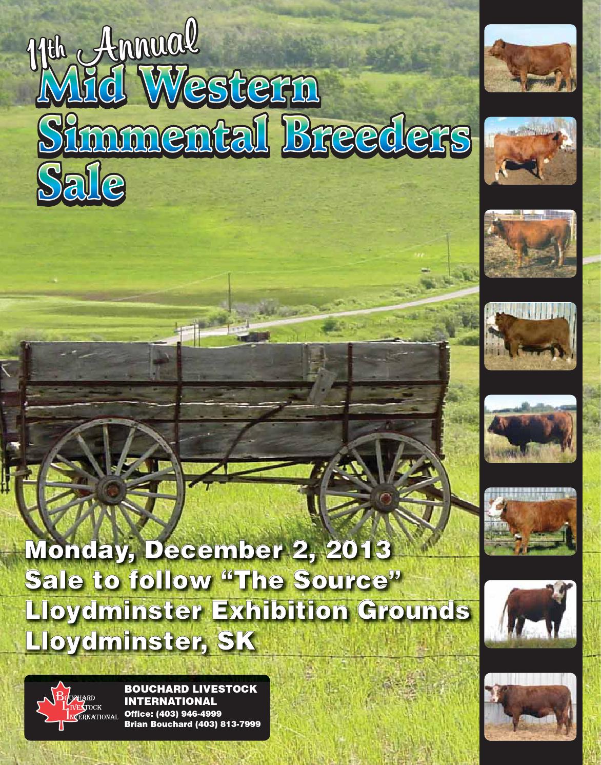 Midwestern Simmental Sale by Today's Publishing Inc. Issuu