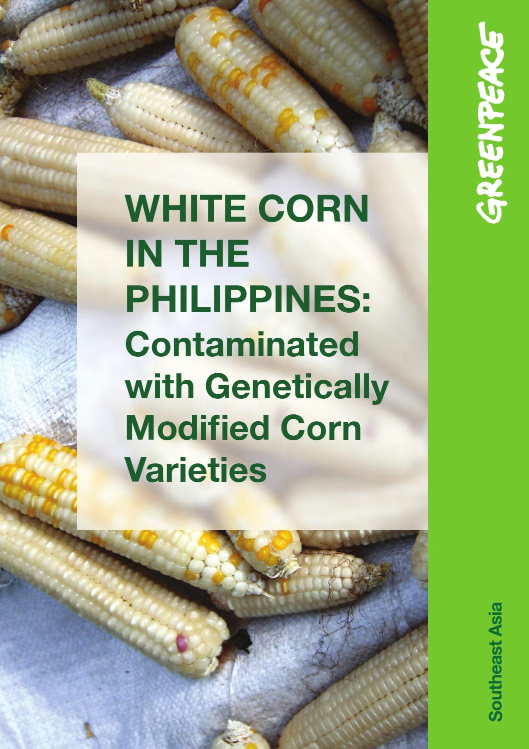 White Corn in the Philippines Contaminated with GM Corn Varieties by Greenpeace Southeast Asia