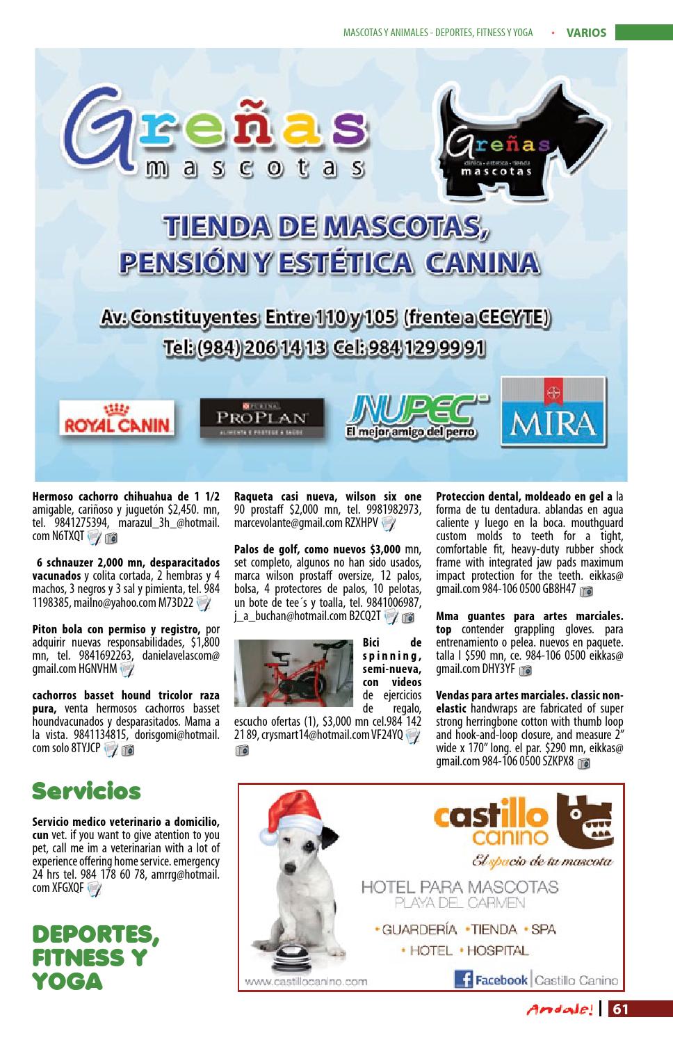 Andale 222 by Andale Revista Issuu