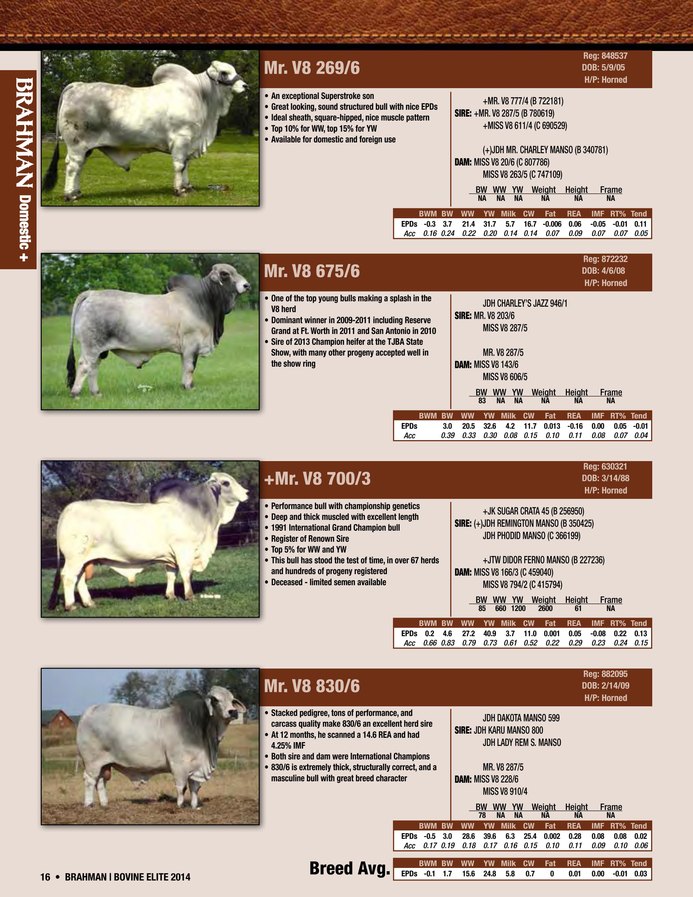 2014 Bovine Elite Semen Catalog by Cattle In Motion, LLC Issuu