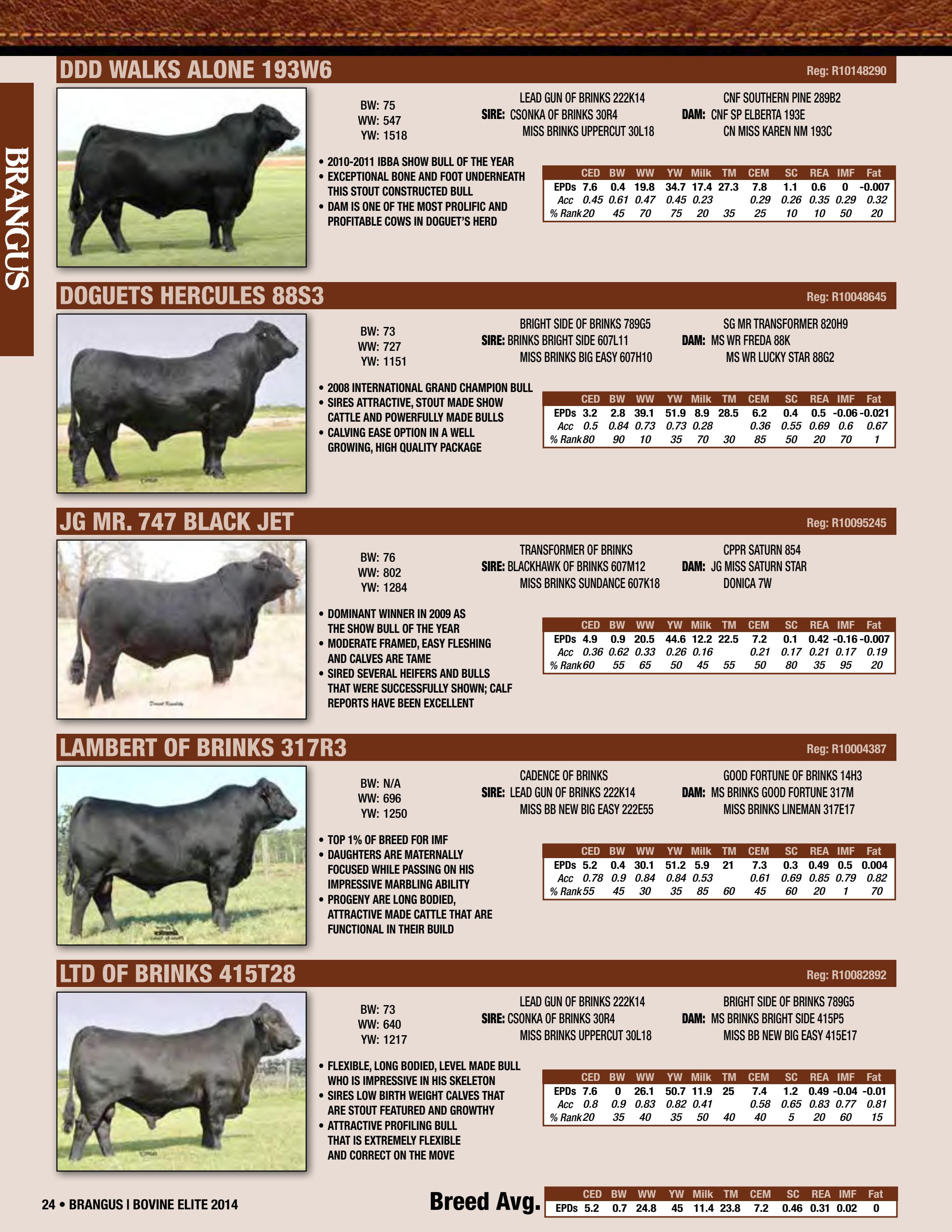 2014 Bovine Elite Semen Catalog by Cattle In Motion, LLC Issuu