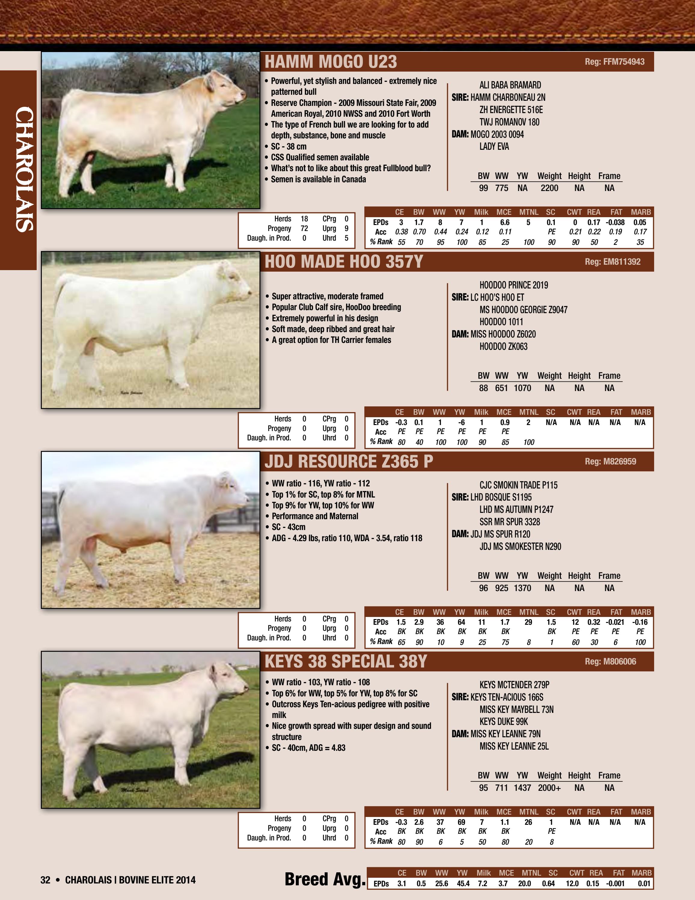 2014 Bovine Elite Semen Catalog by Cattle In Motion, LLC Issuu