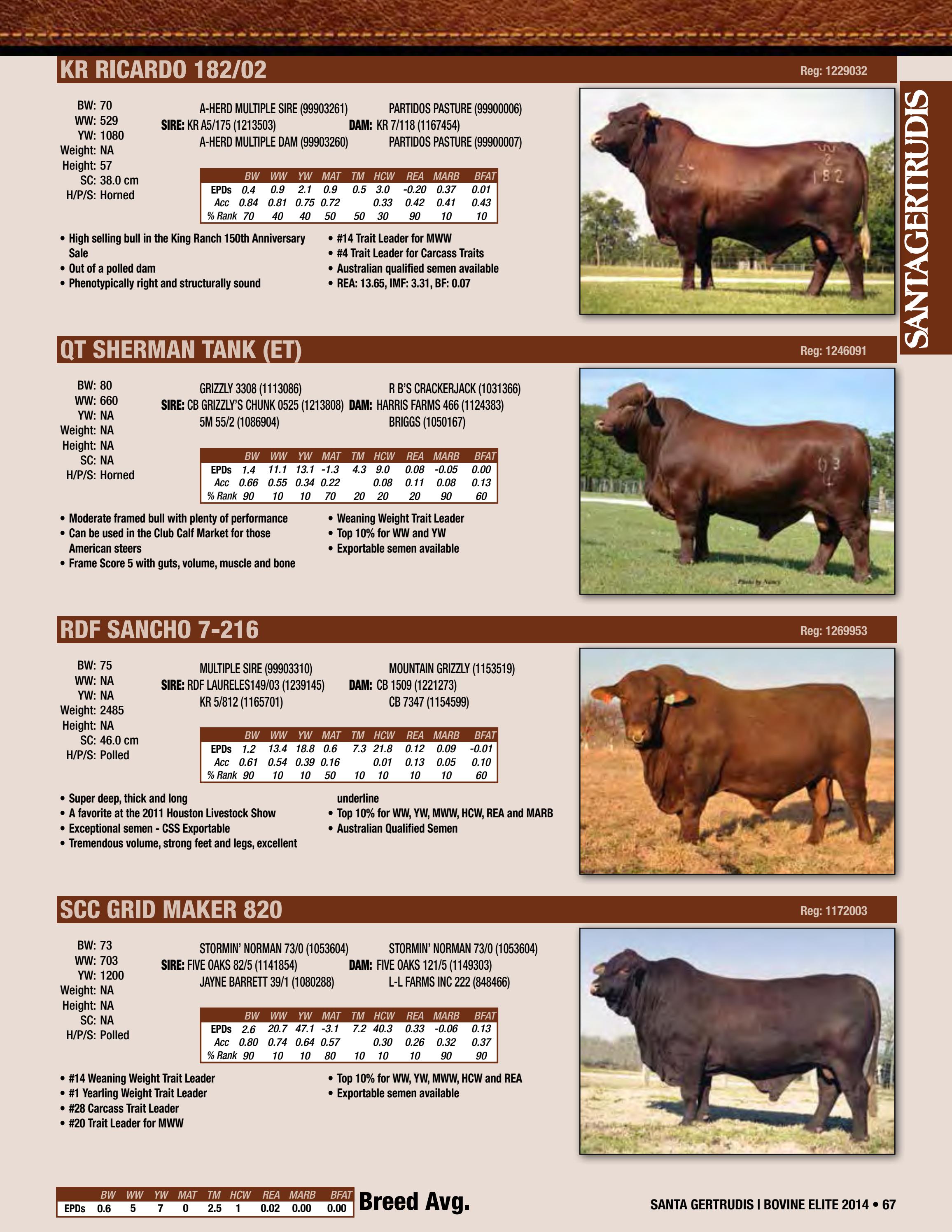 2014 Bovine Elite Semen Catalog by Cattle In Motion, LLC Issuu