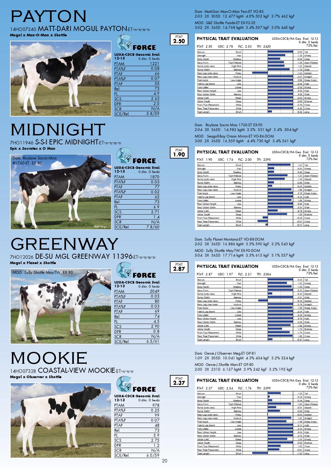 12 13 Wws Holstein Catalog By World Wide Sires Ltd Issuu