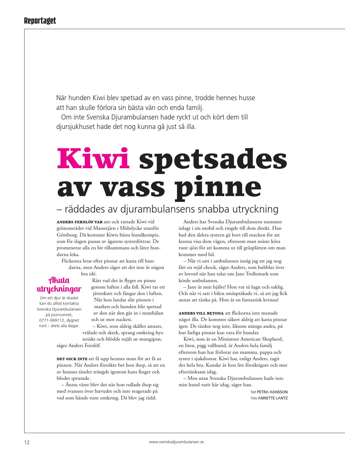 100 gratis dating kärlek site