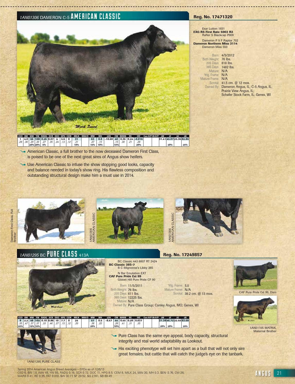2014 Genex Beef Management Guide by GENEX Issuu