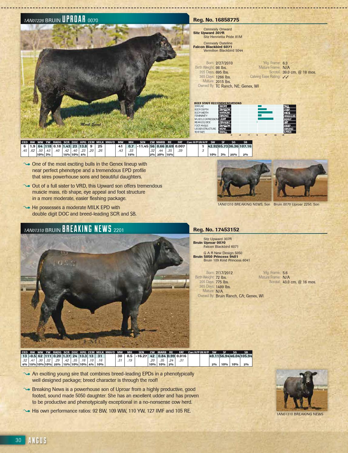 2014 Genex Beef Management Guide by GENEX Issuu