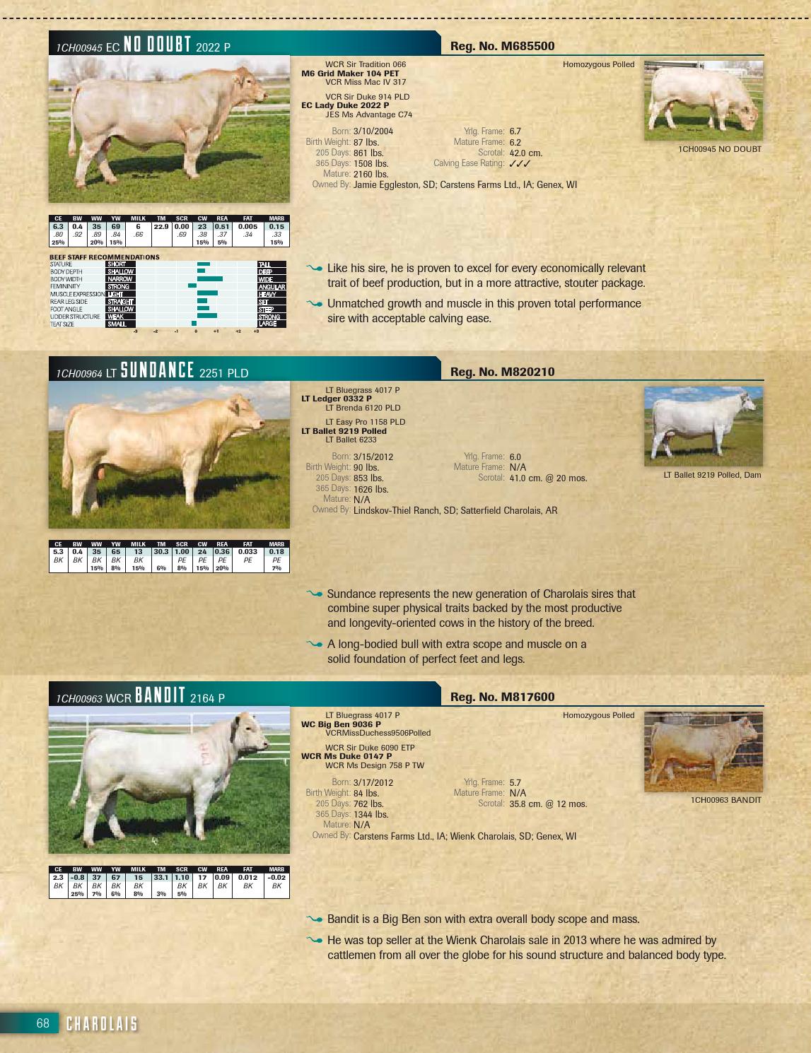 2014 Genex Beef Management Guide by GENEX Issuu