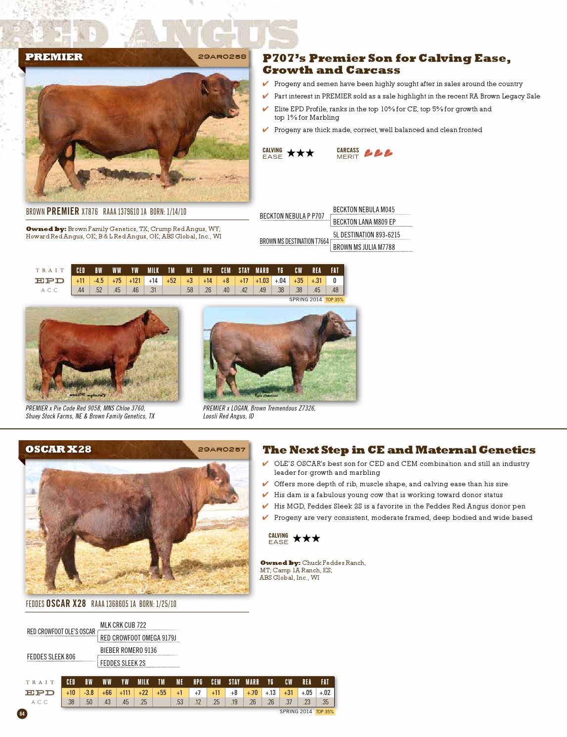 ABS Spring 2014 Beef Sire Directory by ABS Global, Inc. Issuu
