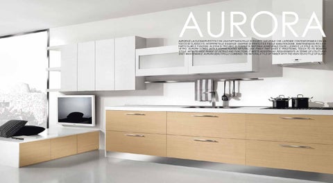 Cucine Ricci Imported Italian Kitchens 家具目录 · Aurora 第 2 页