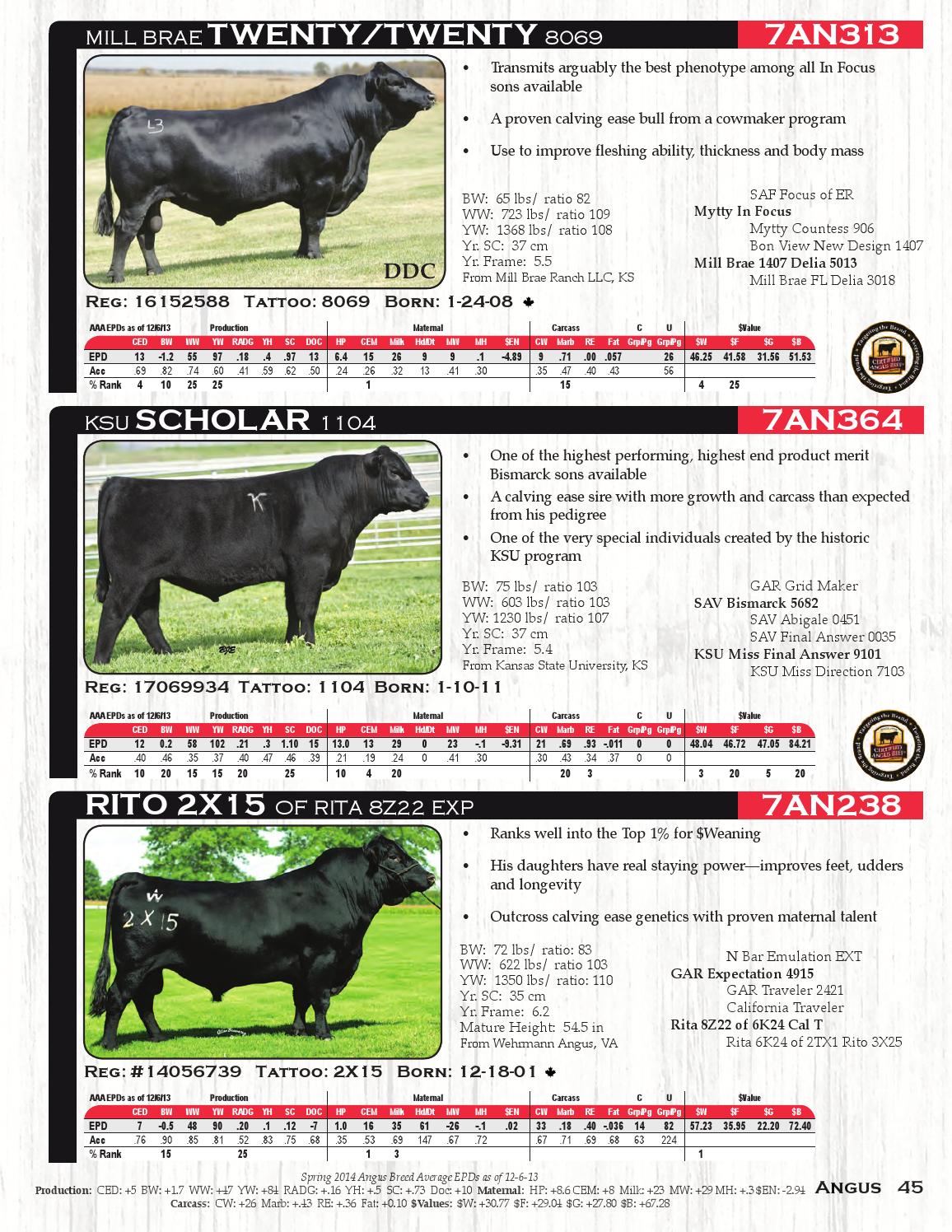 2014 Select Sires Beef Sire Direcotry by Kim West Issuu