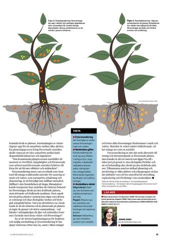 Hvordan Bli Kvitt Sorte Hudormer Q