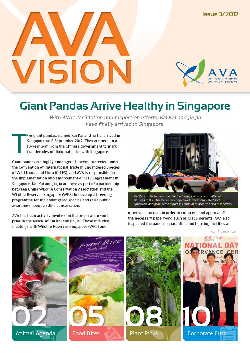 AVA Newsletter Issue 3 2012 by Artnexus Design Pte Ltd Issuu