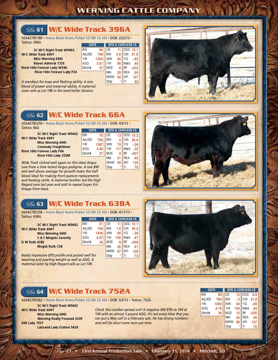 Werning Cattle Co Catalog 2014 by Eberspacher Enterprises Issuu