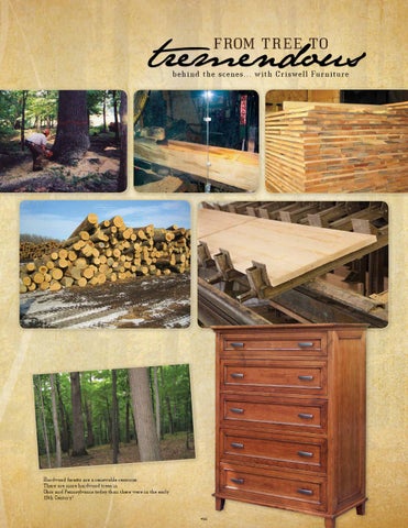 2014 Criswell 目录 / 卧室 家具 / E & G Amish Furniture 第 8 页
