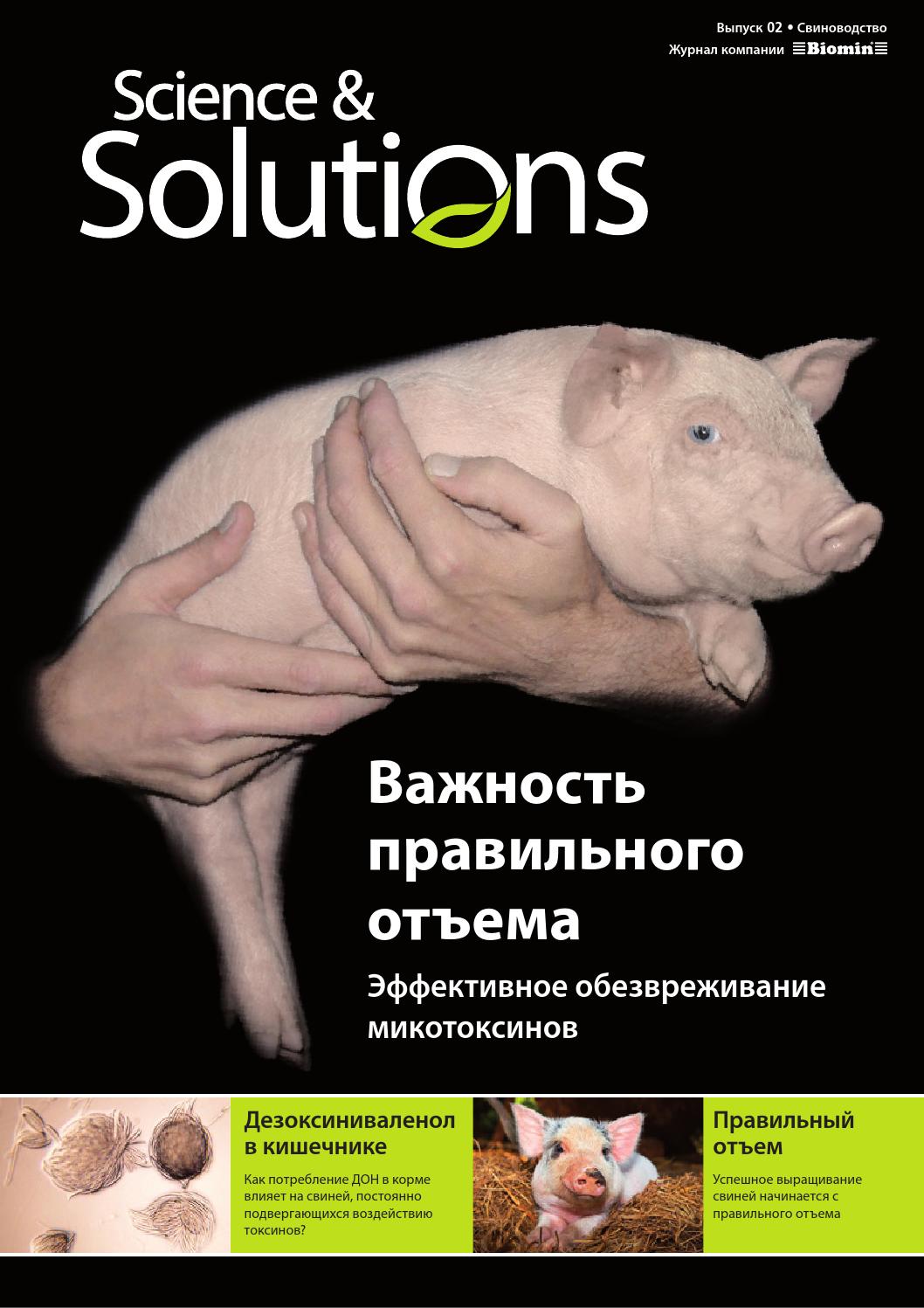 свиноводство книга. журнал свиноводство. журнал свиноводство. свинья с книгой. журнал свиноводство ссср.