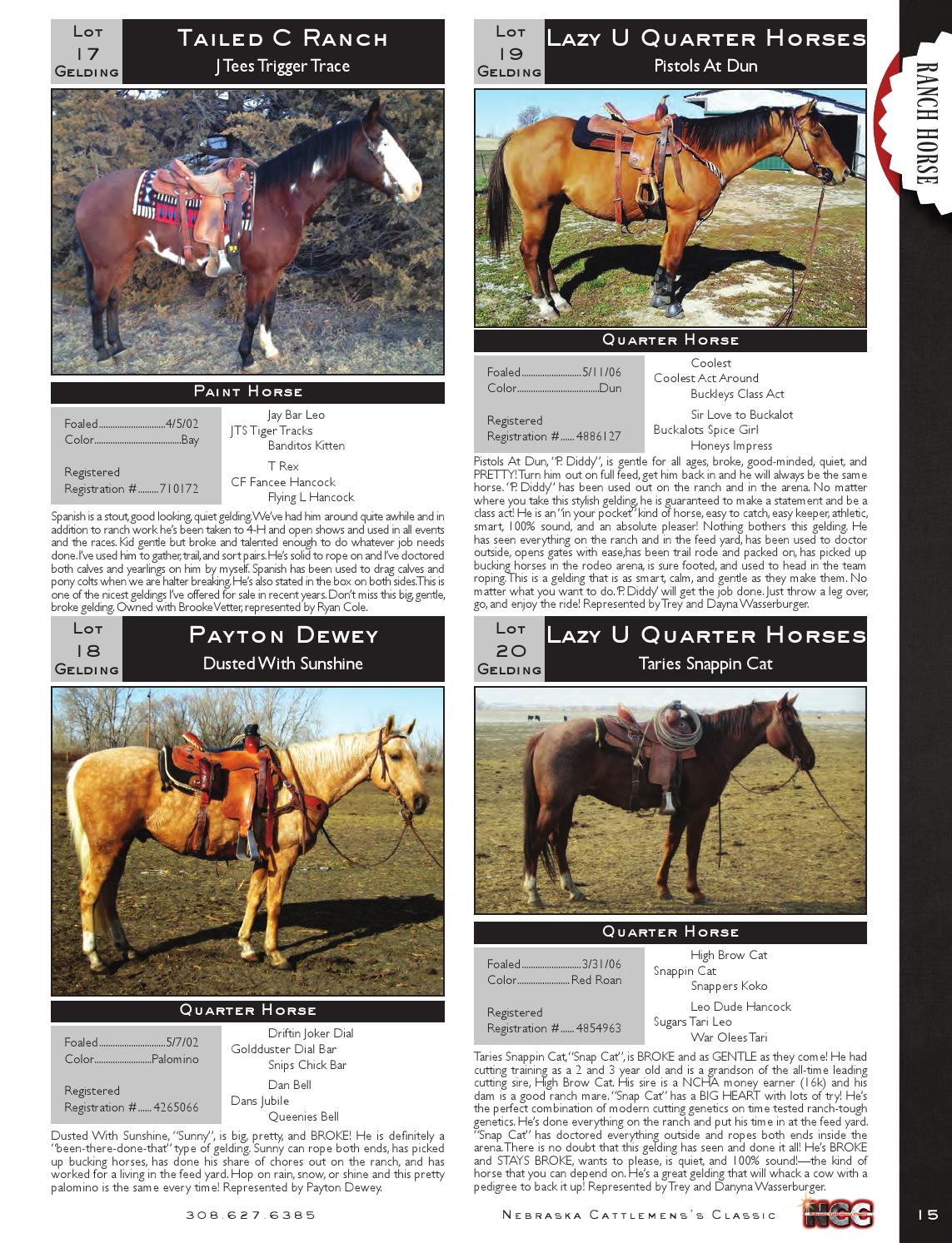 Nebraska Cattlemen's Classic Horse Catalog by EDJE Issuu