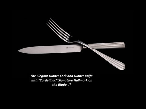 Stunning Christofle (Cardeilhac) 294 pc. Antique Sterling Silver Flatware Set !! 第 4 页