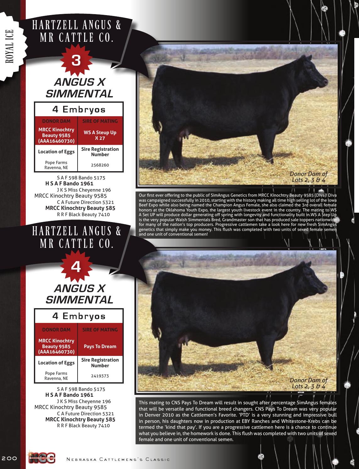 Nebraska Beef Cattle Import Requirements at Joyce Moore blog