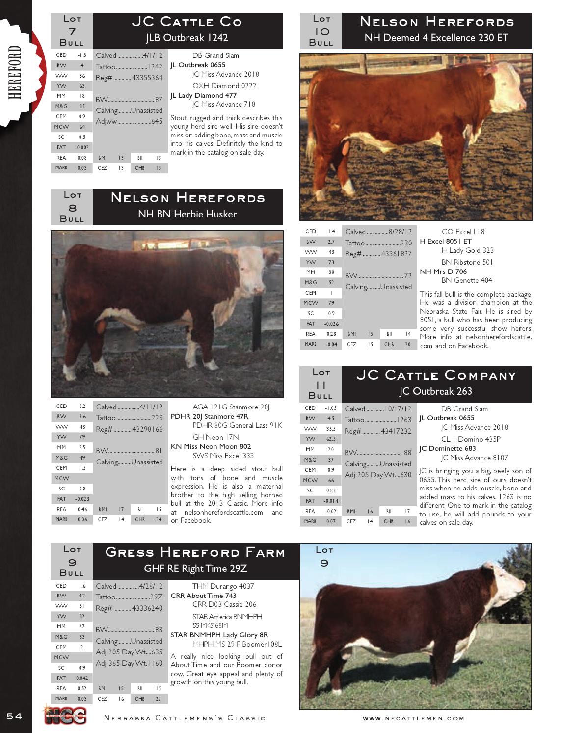 Nebraska Cattlemens Classic Beef Catalog by EDJE Issuu