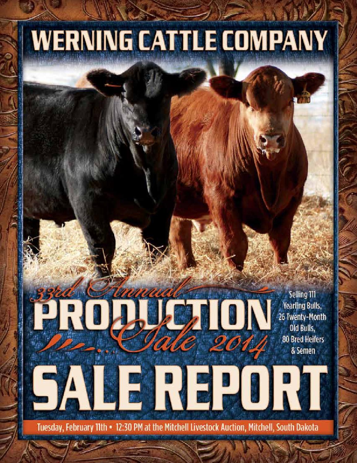 Werning Cattle Sale Report 2014 by Eberspacher Enterprises Issuu