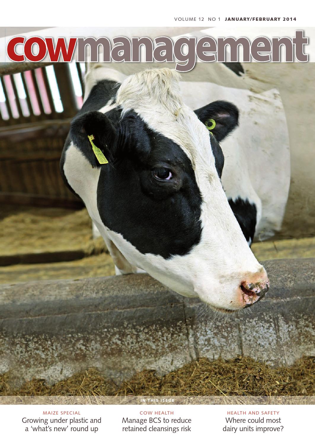 Cowmamagement Uk January 2014 By Crv Uitgeverij Crv Publishers Issuu