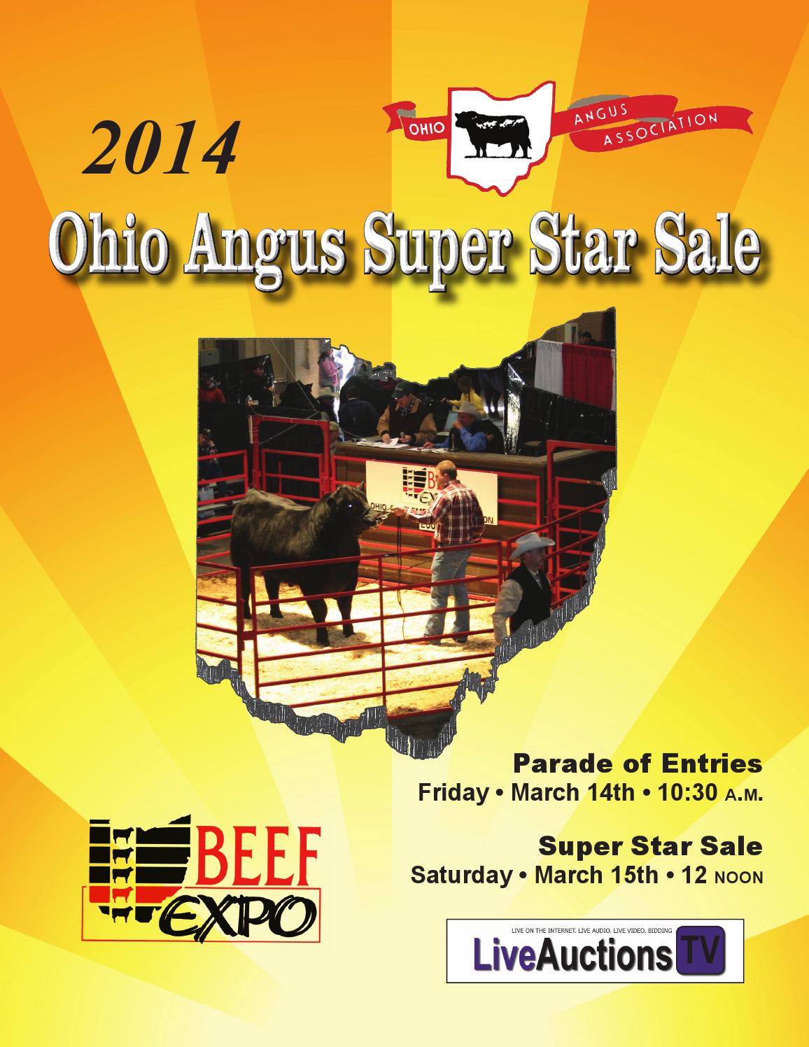 Ohio angus beef expo catalog by Dan Wells Issuu