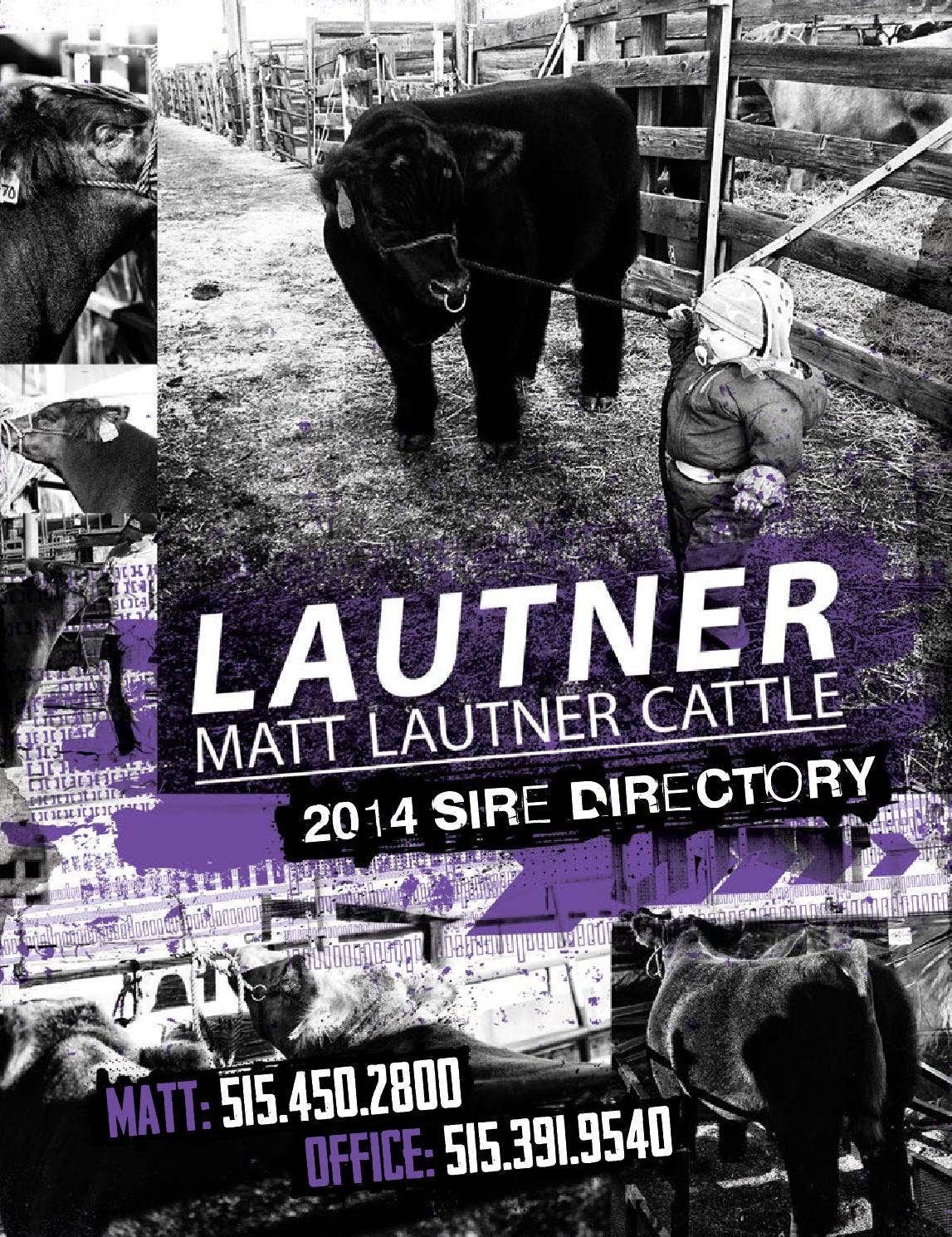 Matt Lautner Cattle 2014 Sire Directory Catalog Online Edition by The