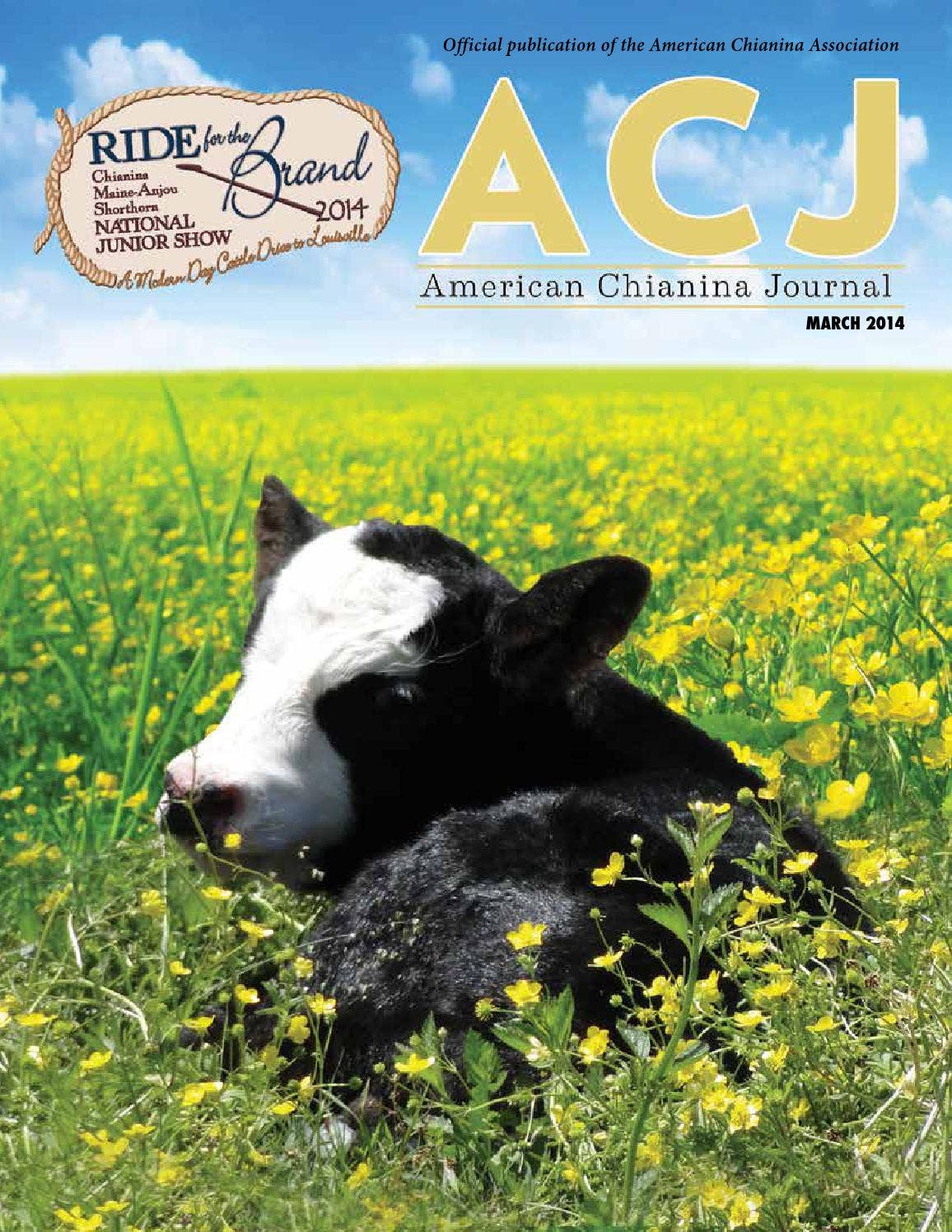 ACJ March Issue by EDJE - Issuu