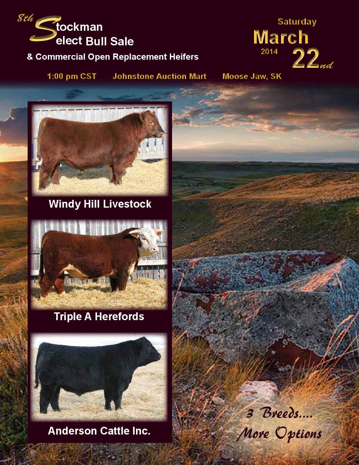 Stockman Select Bull Sale Catalogue by Livestock Media Plus Issuu