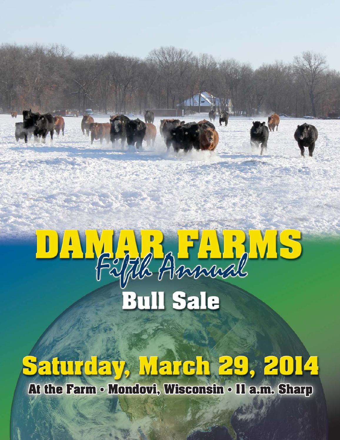 Damar 2014 Bull Sale by Coyote Publishing Ltd. Issuu