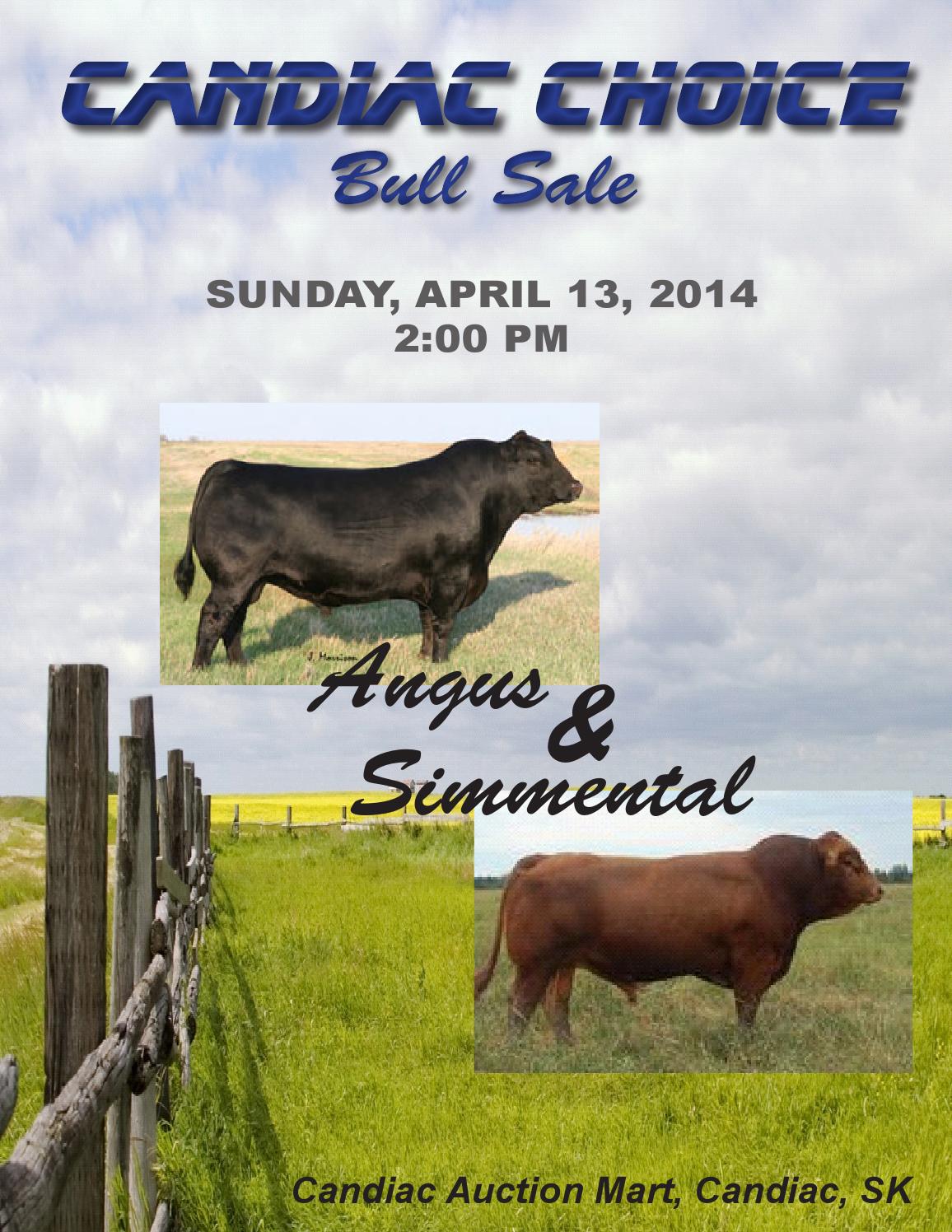 2014 candiac choice bull sale by Carolyn McCormack Issuu