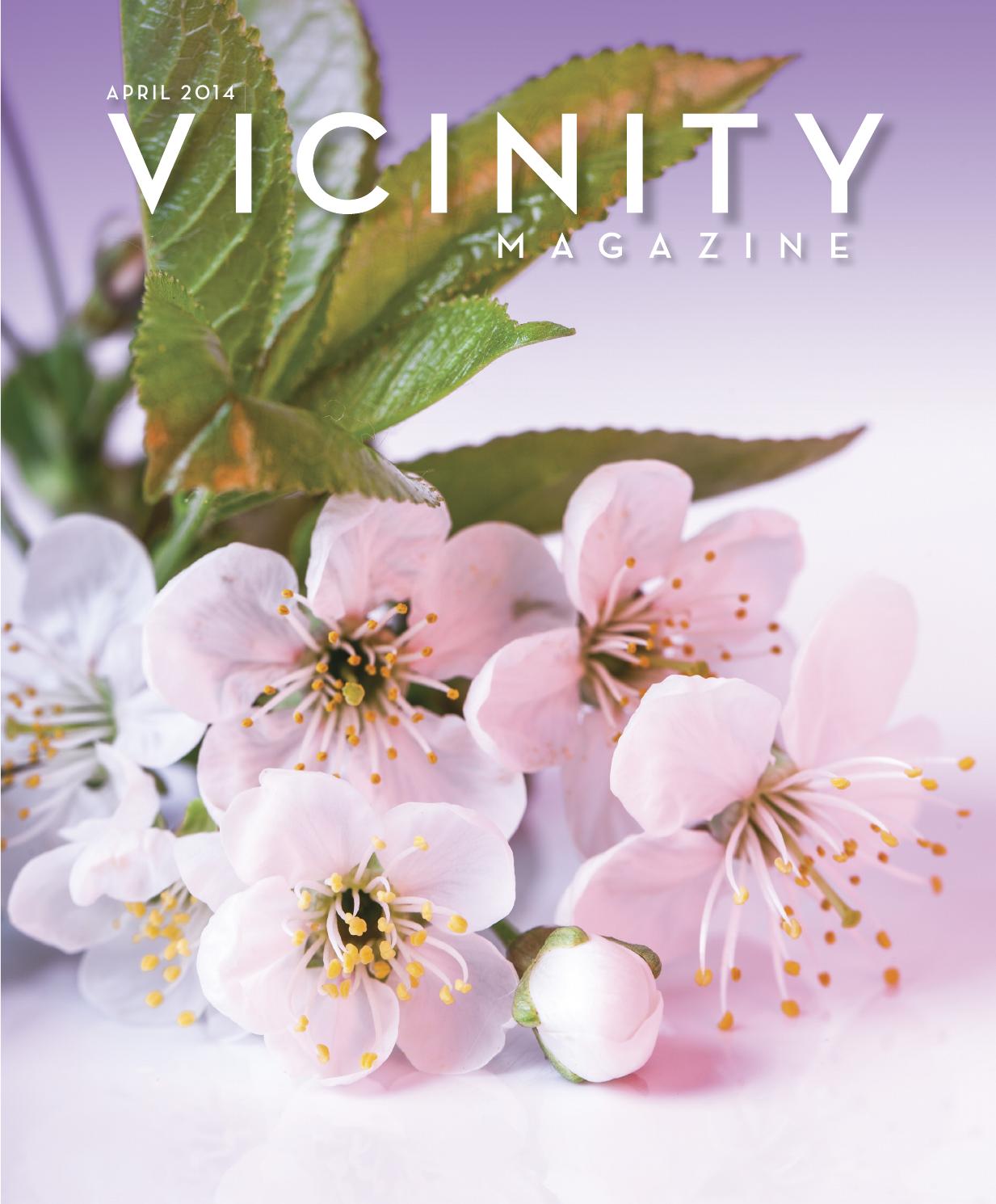 Vicinity Magazine By Media Group
