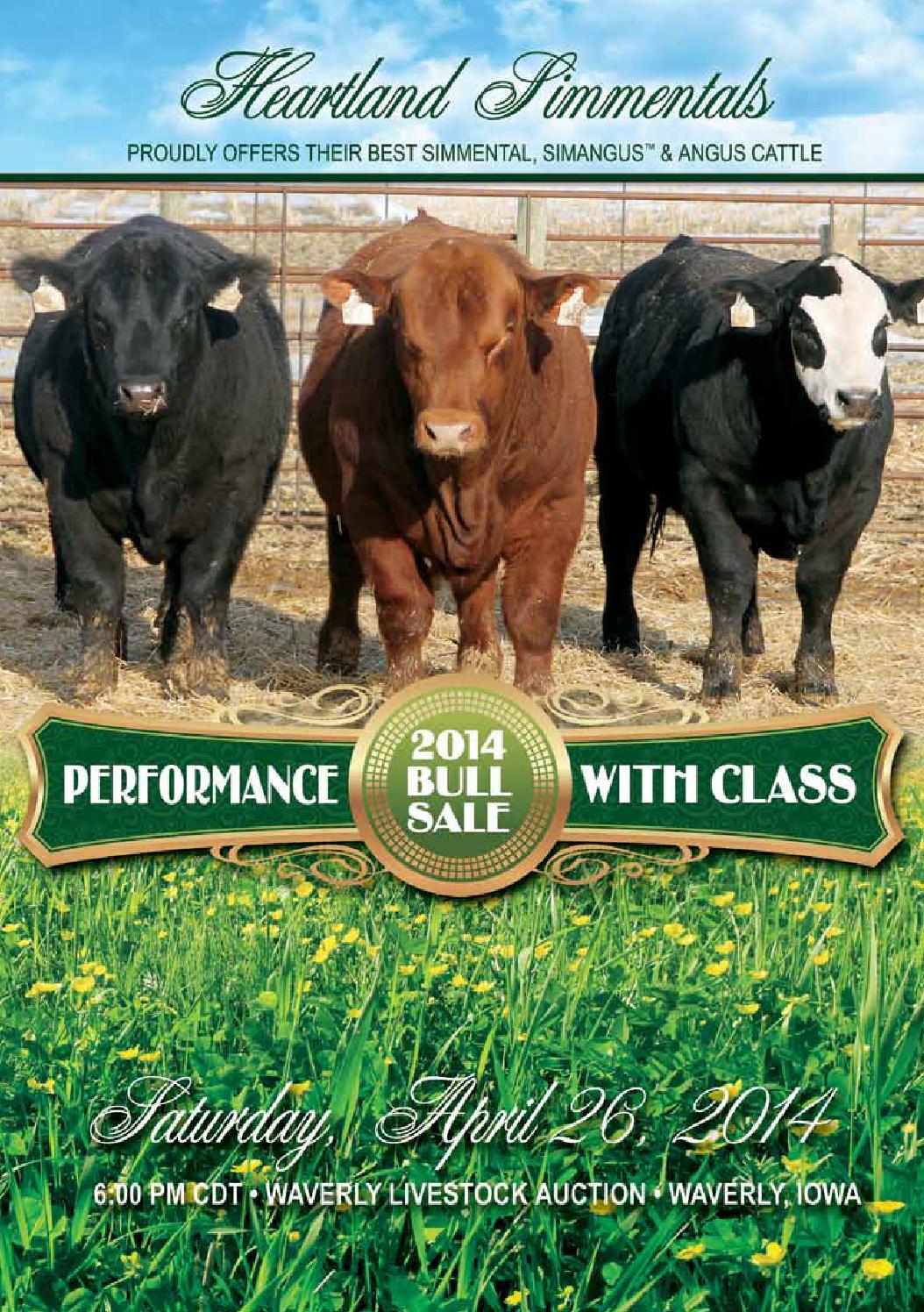 Heartland Simmental Sale Catalog 2014 by Eberspacher Enterprises Issuu