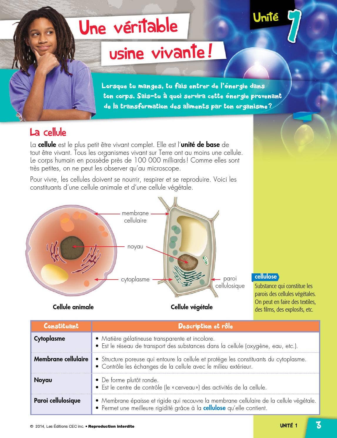 Structures et ultrastructures de la cellule. Quiz, image size:1147x1490