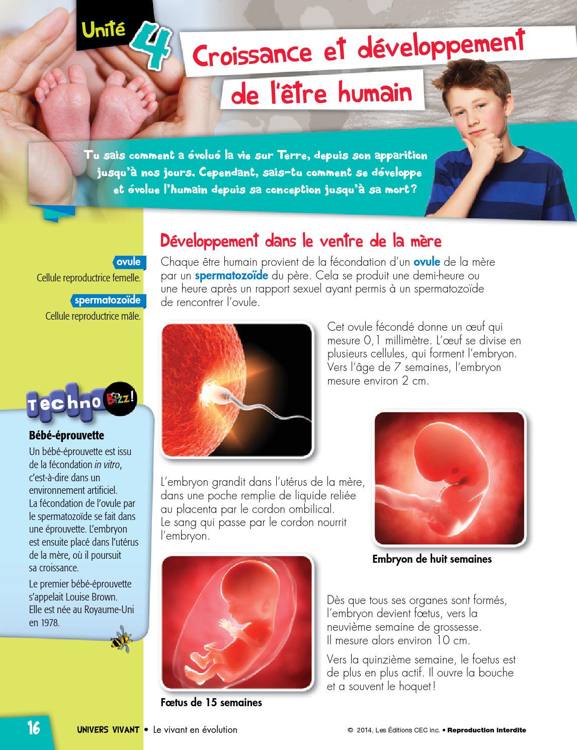 Issuu Pdf Downloader Tool