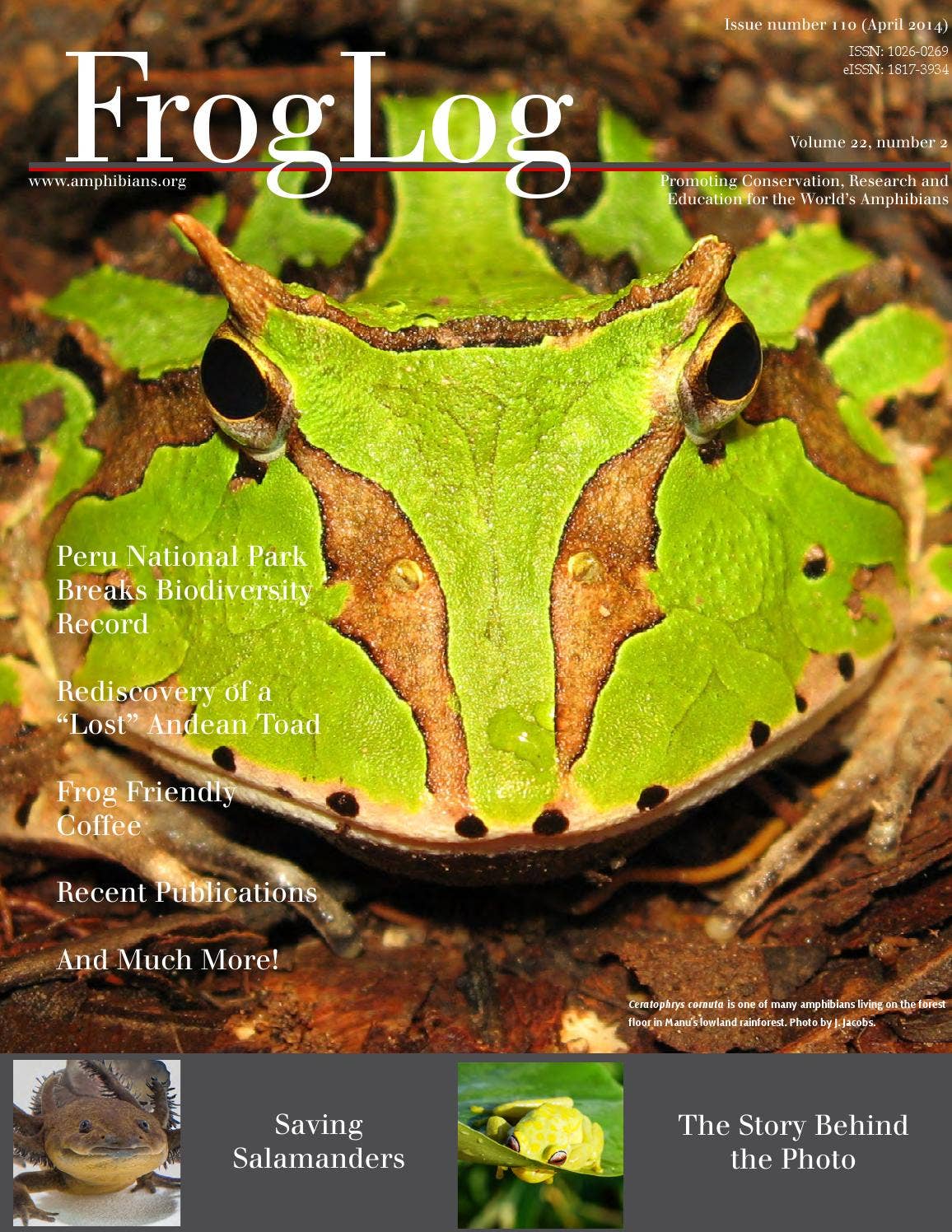 Froglog110 by Amphibian Survival Alliance - Issuu