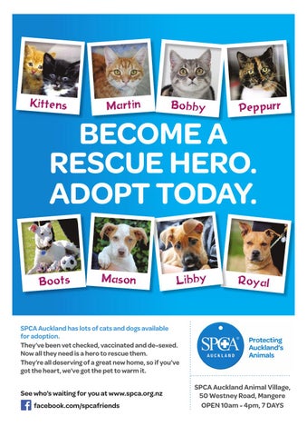 mangere spca
