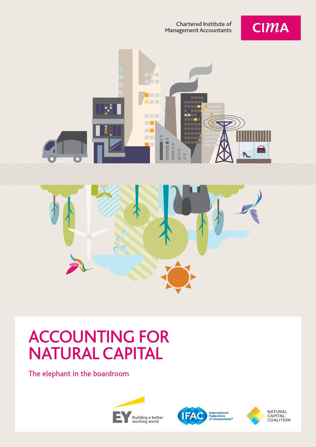 Accounting for natural capital by Chartered Institute of Management